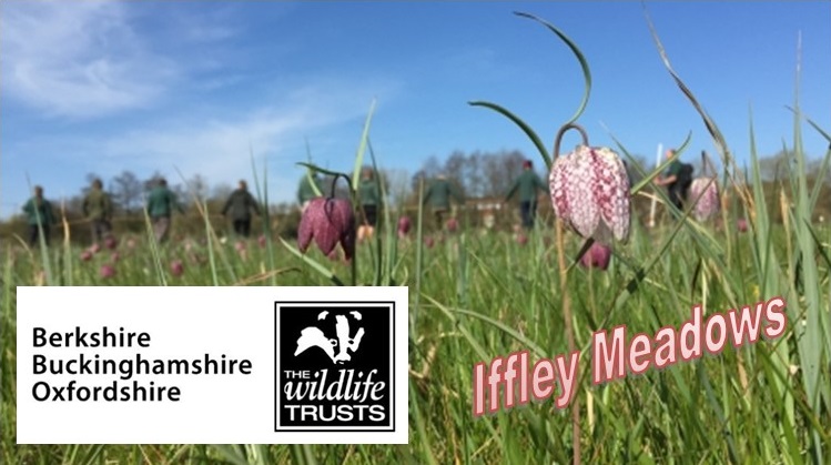 BBOWT Iffley Meadows image and logo
