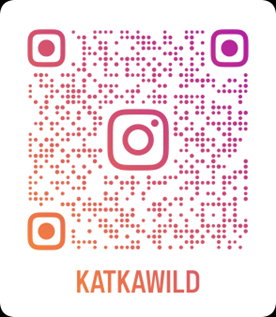Heads in the Clouds Insta Code