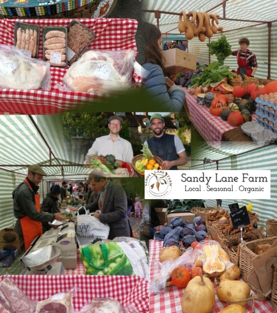 Sandy Lane Farm Collage 2 with logo